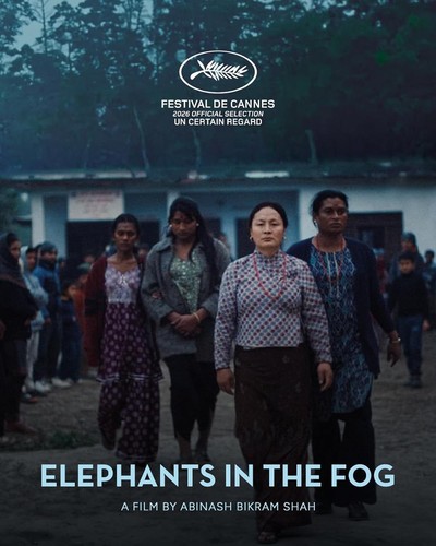 Artwork von Elephants in the Fog