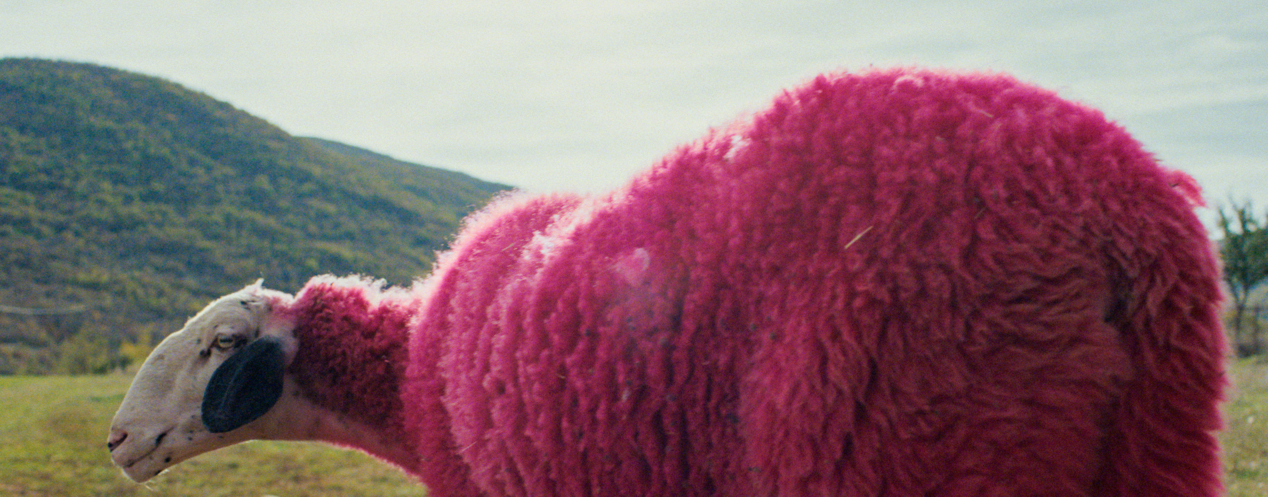 Filmstill «DJ Ahmet»