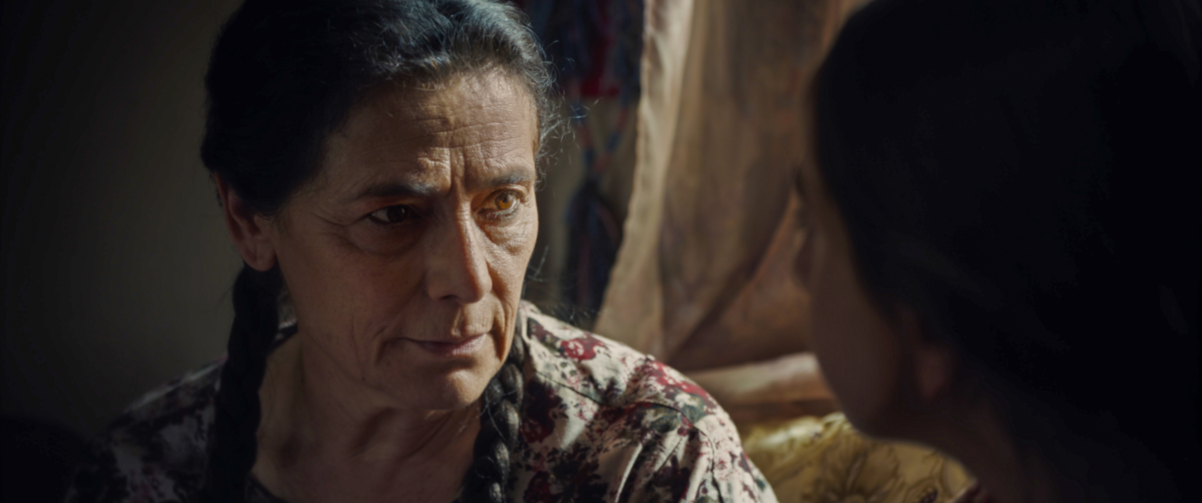 Image du film «Palestine 36»